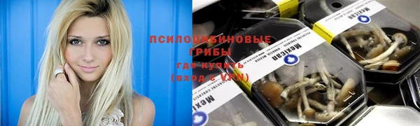герыч Медвежьегорск