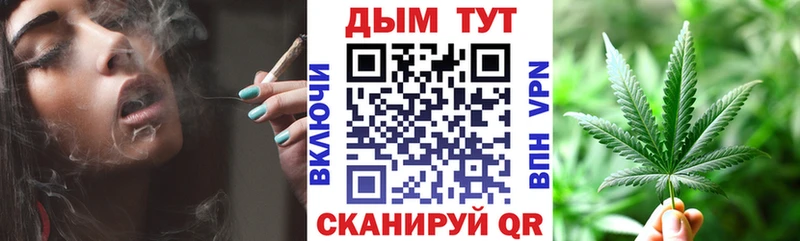 Шишки марихуана сатива Пересвет